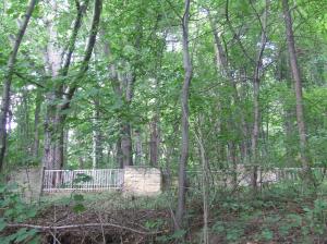 Kriegerfriedhof Nr 104 Strzeszyn-Wilczak- cmentarz z I Wojny Światowej 007     