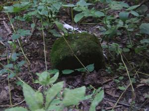 Kriegerfriedhof Nr 104 Strzeszyn-Wilczak- cmentarz z I Wojny Światowej 015     