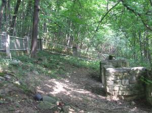 Kriegerfriedhof Nr 104 Strzeszyn-Wilczak- cmentarz z I Wojny Światowej 020     