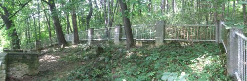 Kriegerfriedhof Nr 104 Strzeszyn-Wilczak- cmentarz z I Wojny Światowej 021     