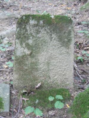 Kriegerfriedhof Nr 104 Strzeszyn-Wilczak- cmentarz z I Wojny Światowej 036  