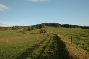 Cmentarz nr 61 Wichrne Gładyszów