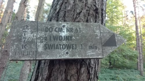 Cmentarz nr 61 Wichrne Gładyszów