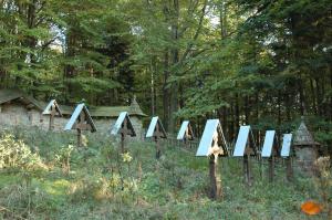 Cmentarz nr 61 Wichrne Gładyszów