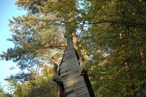 Cmentarz nr 61 Wichrne Gładyszów