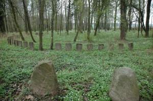Witkowice - Pustułka