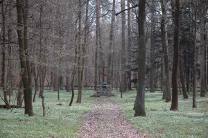 Witkowice - Pustułka
