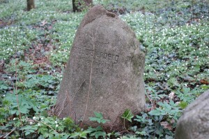 Witkowice - Pustułka