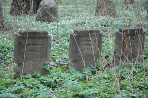Witkowice - Pustułka