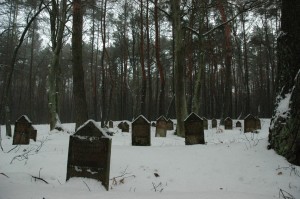 Wymysłów Piaski-Francuski