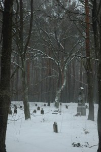 Wymysłów Piaski-Francuski