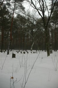 Wymysłów Piaski-Francuski