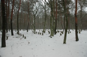 Wymysłów Piaski-Francuski