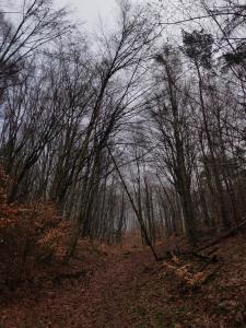 Wysota50 012023 01