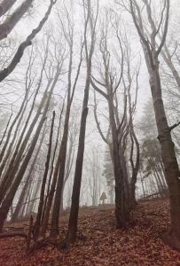 Wysota50 012023 02