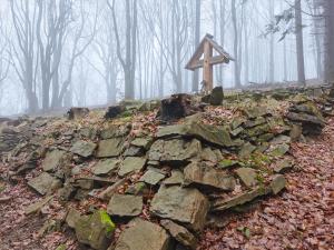 Wysota50 012023 06