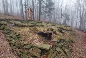 Wysota50 012023 10