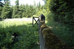 Cmentarz wojenny nr 102