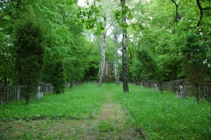 Cmentarz nr 125 Zagórzany