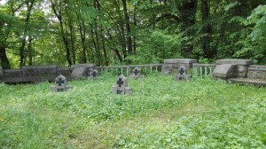 Cmentarz nr 125 Zagórzany