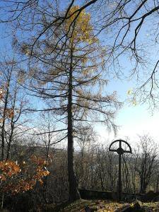 Cmentarz nr 105 Biecz - Harta