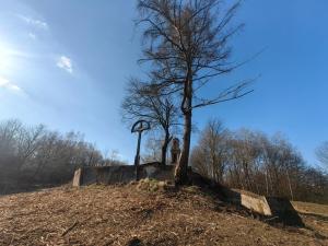 002 IMG 20250322 150101