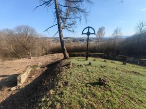 005 IMG 20250322 145356