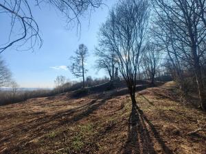 014 IMG 20250322 152903