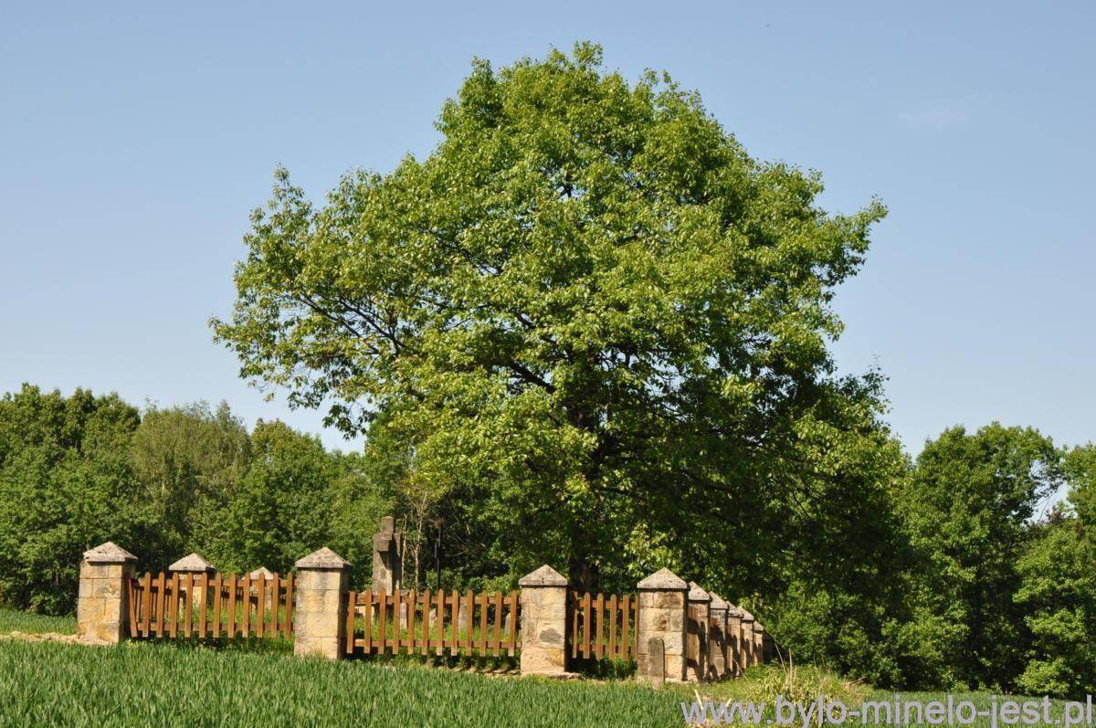 Cmentarz wojenny nr 306 Łąkta Dolna