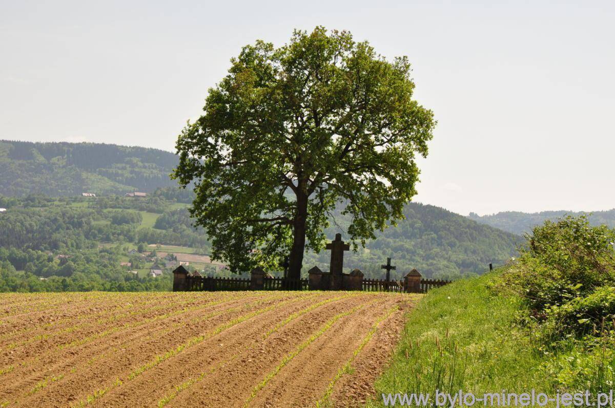 Cmentarz wojenny nr 307 Łąkta Dolna
