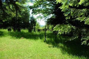 Cmentarz wojenny nr 304