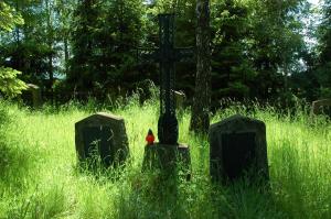 Cmentarz wojenny nr 304